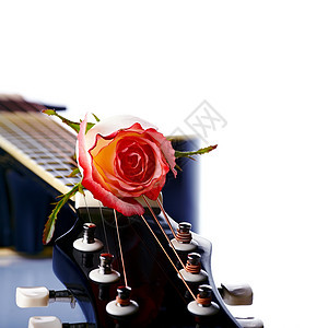 吉他和玫瑰唱歌花瓣爱好情绪植物旋律惊喜指板活动假期图片