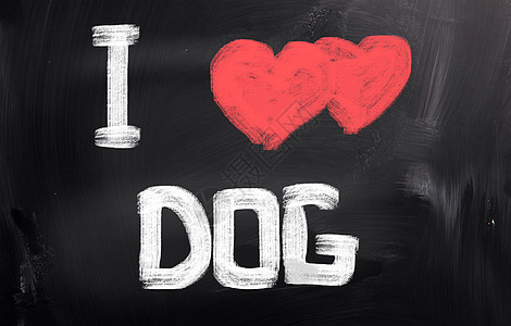 我爱狗概念黑色犬类衣领朋友粉笔食物小狗绘画插图学校图片
