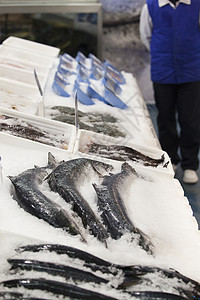 新鲜鱼钓鱼市场货架海鲜冷藏食物冰箱健康饮食图片