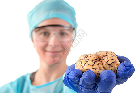 病理学家在她手里握着大脑家庭作业眼镜病理教育生物学组织动物辅助身体解剖图片