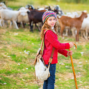 幼女牧羊人对羊群和棍棒很满意牧师孩子童年畜牧业假期牧羊女郊游引擎盖背包女孩图片