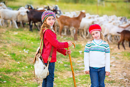 牧羊女姐妹对羊群和棍棒感到快乐孩子们山羊女孩们农业山脉草地牧师假期农村引擎盖图片