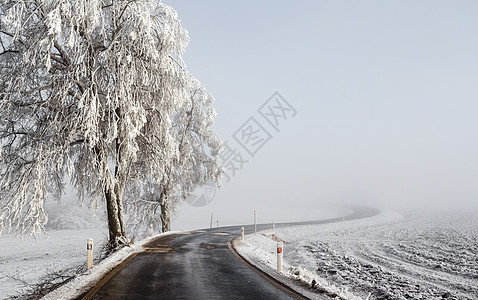 冬道进雾中季节性风景薄雾乡村木头天气小路环境国家沥青图片