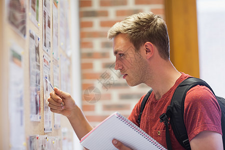 学习通知板的英俊学生背景图片