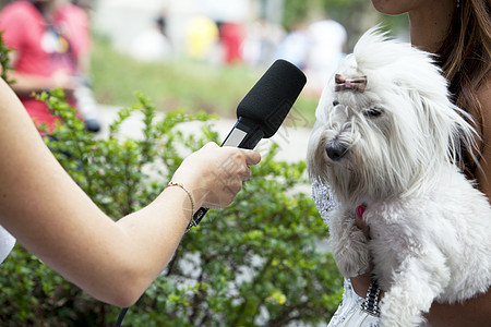 媒体采访记者全球设备活动宠物报告文学语音演讲录影机广播图片