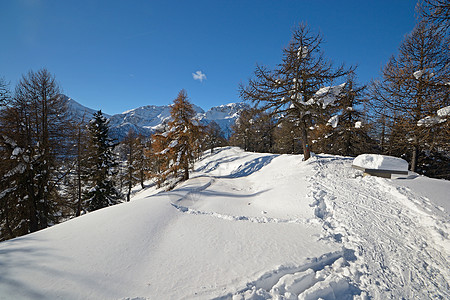 后国家风景景观滑雪雪鞋寂寞风景蓝色天空荒野季节枞树愿望成就图片