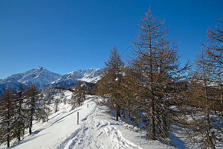 后国家风景景观滑雪勘探天空成就粉雪季节愿望冰川风景自由山峰图片