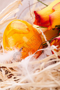 紫橘橙色复活节蛋 配有雪贝拉和玫瑰季节雏菊橙子手工业雏鸟愿望稻草假期节日手绘图片