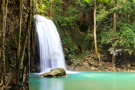 位于的埃拉旺国家公园美丽的瀑布木头运动植物热带丛林公园森林荒野叶子天堂图片
