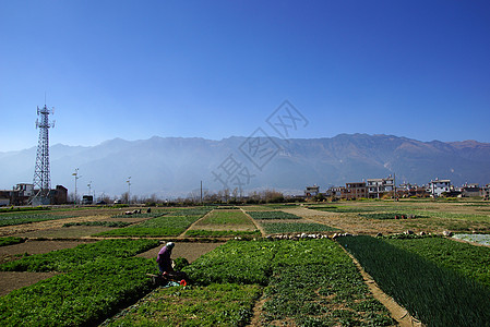 洱海大理古城中国云南省埃海湖和达利附近农村风景场景阳光自由场地土地金子稻田天空植物蓝色背景