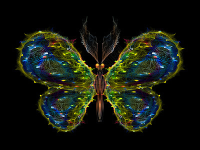 数字蝴蝶动物元素花园森林奉承触角眼睛翅膀漏洞科学图片