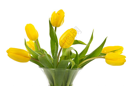 花瓶中的图lips花束郁金香黄色背景图片