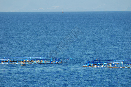 大西洋鱼类养殖场蓝色养殖水池生产农业商业海鲜钓鱼食物海洋图片