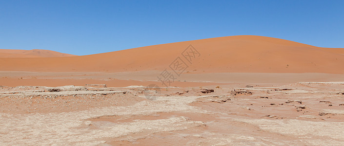 透过Namib沙漠著名的红色沙丘观看死灰地的景象沙漠阴影孤独太阳木头旅游冒险干旱晴天天空图片