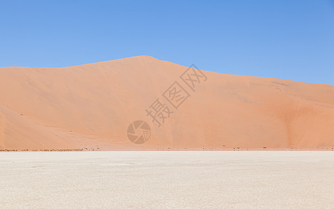 透过Namib沙漠著名的红色沙丘观看死灰地的景象冒险晴天沙漠旅行木头太阳寂寞公园死亡纳米布图片