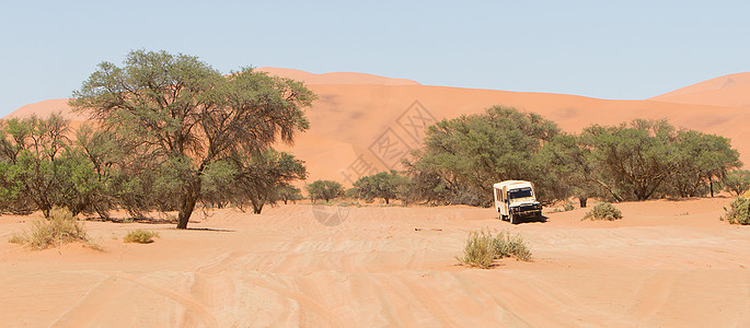 索苏夫莱路 著名的纳米布沙漠红色沙丘图片