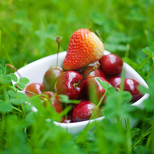 水果樱桃草莓在绿草上陶瓷碗中的樱桃和草莓甜点平衡叶子纹理浆果食物框架生活三叶草水果背景
