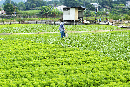 种植地和农民喷洒杂草喷雾机植物场地男士野花土地软管大豆喷涂图片