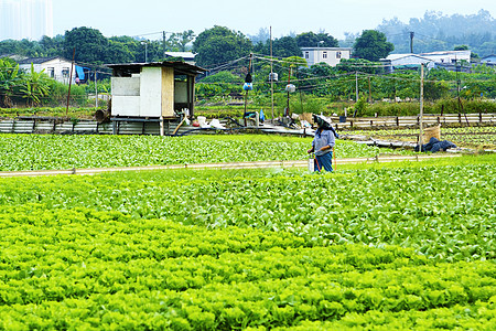 种植地和农民喷洒野花土地喷雾机软管耕地绿色季节男人场地体力劳动者图片