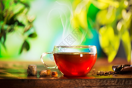 绿色背景 草药茶(Hirbal Tea)图片