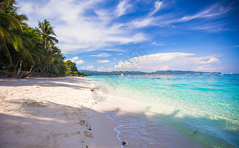 拥有绿绿水和白沙的完美热带海滩海洋日落天堂蓝色海浪丛林海景日出支撑椰子图片