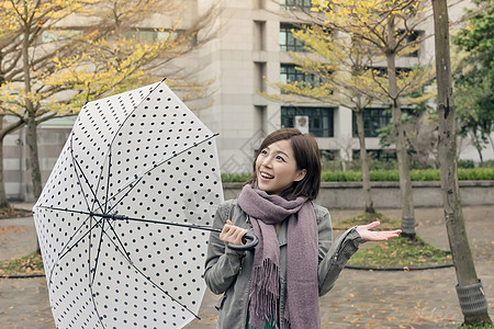 带着伞的笑笑快乐的亚洲妇女魅力乐趣喜悦女性女士街道下雨图片