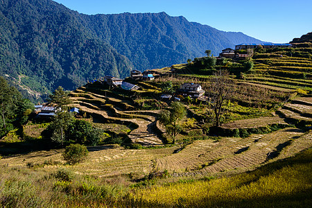 Annapurna地区的尼泊尔村图片