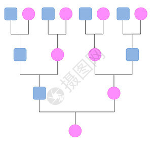 家庭树叔叔阿姨框架兄弟孩子插图专辑姐姐祖父父母图片