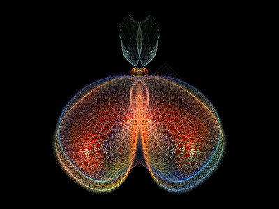 进化蝴蝶装饰品昆虫学想像力插图昆虫森林花园翅膀野生动物动物图片