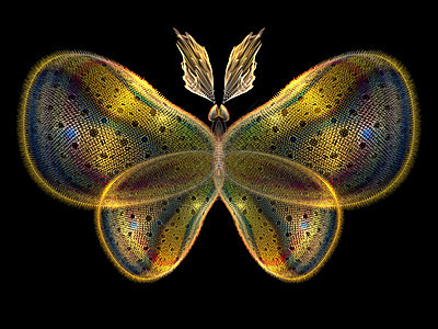 分形蝴蝶动物设计航班触角渲染花园眼睛翅膀创造力森林图片