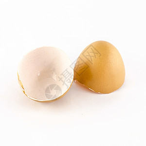 白上孤立的蛋壳圆圈裂缝食物生活孵化碰撞贝壳早餐动物脆弱性图片