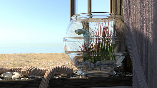 海滩海 窗户 鱼和水族馆的概念背景世界旅行野生动物动物窗帘绳索植物潜水异国爱好背景图片