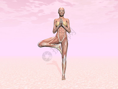 肌肉显露的妇女的树瑜伽姿势图片
