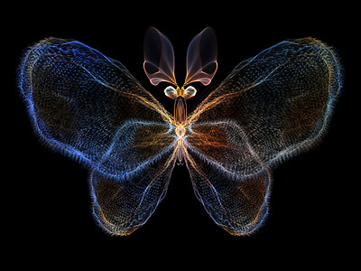数字蝴蝶插图宏观昆虫航班元素科学设计翅膀想像力生物学图片