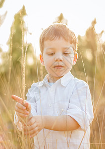 儿童在田里玩着夏季日落的尖刺游戏太阳快乐生活喜悦孩子草地男生童年小麦自由图片