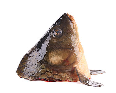 鱼头紧闭水平钓鱼眼睛白色食物图片