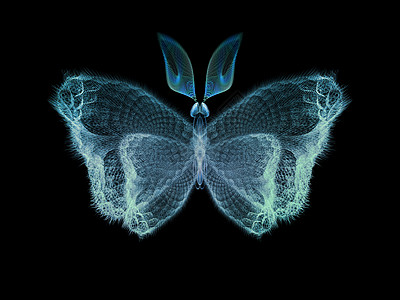 数字蝴蝶科学渲染翅膀触角昆虫眼睛装饰品奉承插图生物学图片