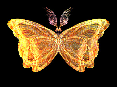 蝴蝶可视化生物学航班创造力装饰品想像力翅膀元素昆虫设计科学图片
