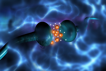 活性受体信号科学冲动生物核子轴突细胞网络插图电子图片