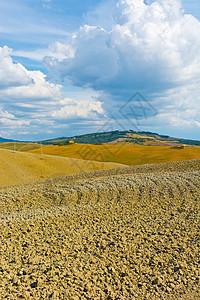 播花山草地阴影农村力量牧场土地爬坡土壤耕作农场图片