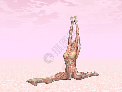 肌肉显眼女人的猴子瑜伽姿势图片