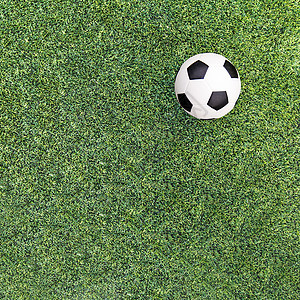 足球场娱乐绿色草地白色植物团队运动沥青游戏环境图片