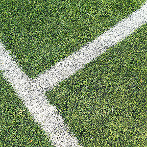 足球场绿色地面环境团队草皮沥青植物体育场草地白色图片