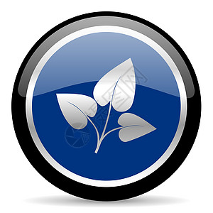 树叶图标活力回收蓝色网站圆圈地球生态互联网农业电脑图片