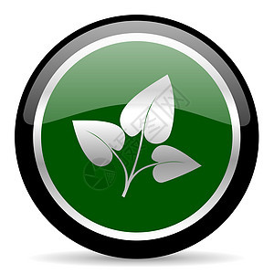 树叶图标地球生物环境植物网络植物群绿色生活按钮圆圈图片