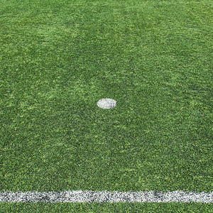 足球场草地草皮植物沥青绿色白色团队地面娱乐运动图片