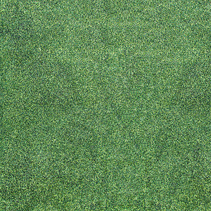 足球场沥青娱乐地面植物草地足球运动体育场绿色草皮图片