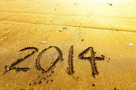 2014新年海沙沙上数位数图片