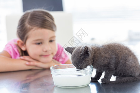 女孩看着小猫从碗里喝牛奶哺乳动物友谊主人家畜主题宠物牛奶兽医关爱朋友图片