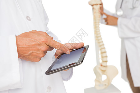 具有数字桌和骨架模型的医生中间部疗法滚动手指服务平板专家医学屏幕脊柱男性图片